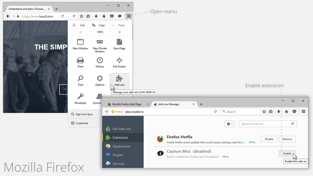 Loqu8 iCE 8 - Mozilla Firefox